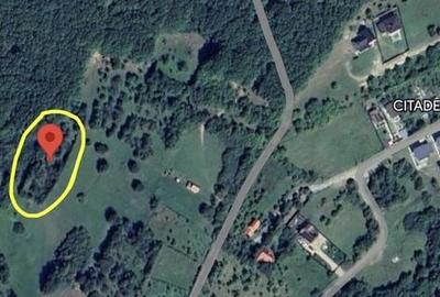 Teren de 2000 mp, în Rășinari - 3