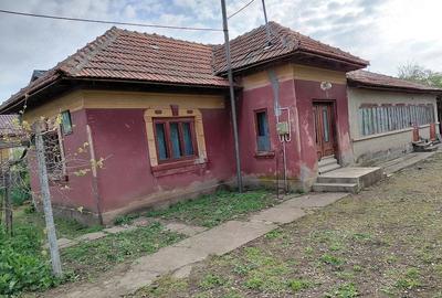 Casă cu 5 camere cu Teren 4800 Mp în Galicea Mare