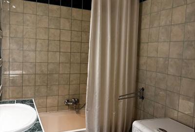 Apartament cu 2 camere decomandat, mobilat în Medicină - 13