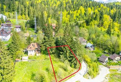 Teren Construcții intravilan de 930 mp, în Clăbucet - 4
