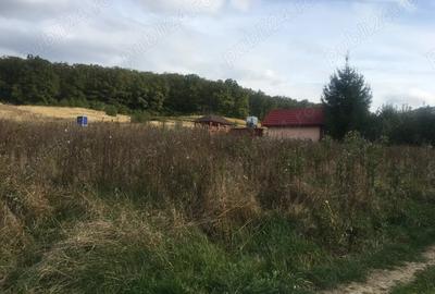 Teren de 650 mp, în Central