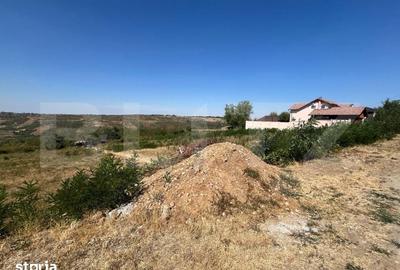 Teren de 9995 mp, în Paleu