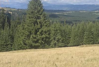 Teren de 27020 mp, în Piatra - 4