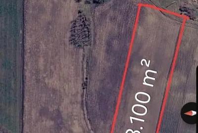 Teren de 13100 mp, în Papiu Ilarian