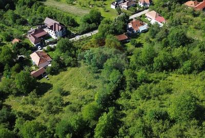 Casă individuală cu 4 camere cu Teren 3765 Mp în Mihăești - 5