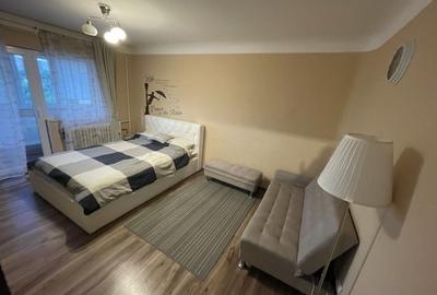Garsonieră decomandată în Brazda lui Novac - 5