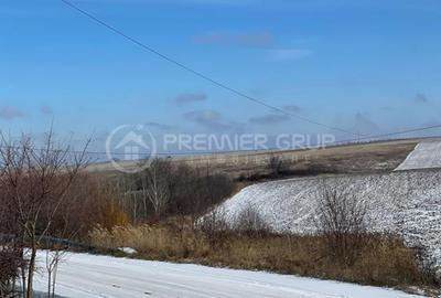 Teren agricol extravilan de 10800 mp, în Horlești - 2