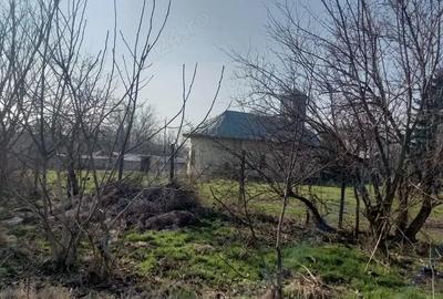 Teren de 10000 mp, în Dârvari - 2