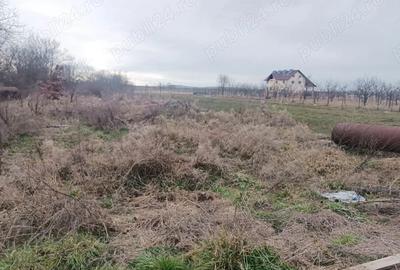 Teren de 3000 mp, în Vad - 3