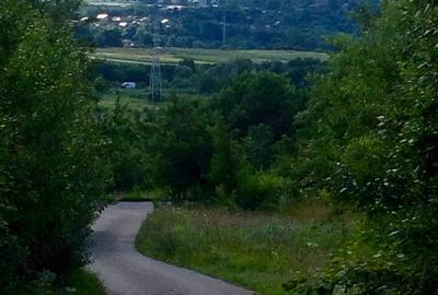 Teren de 1700 mp, în Teișani