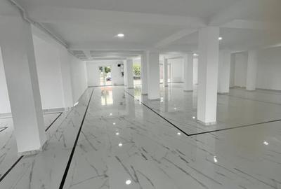 Spațiu comercial, de 250 mp, în Dumbrăvița - 2