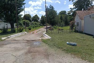 Proprietate specială, de 13,000 mp, în Urziceni