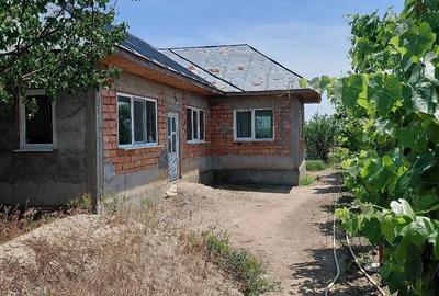 Casă cu Teren 3100 Mp în Stăncuța - 1