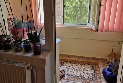 Apartament cu 4 camere decomandat în Vlădeni - 4