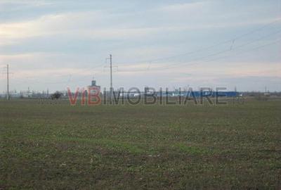 Teren de 61830 mp, în Belciugatele - 11