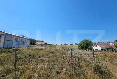 Teren de 4000 mp, în Pianu