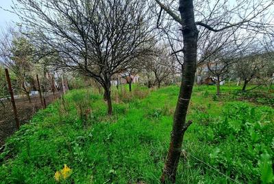 Teren de 1058 mp, în Mogoșoaia - 3