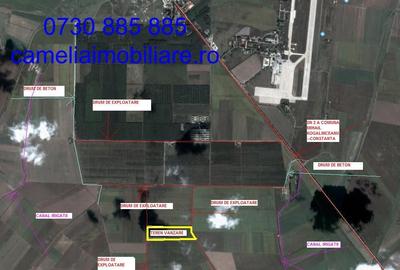 Teren agricol extravilan de 9 mp, în Mihail Kogălniceanu