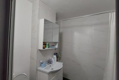 Apartament cu 4 camere decomandat, mobilat în Alexandru cel Bun - 9