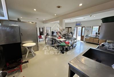 Spațiu comercial, de 392 mp, în Săcălaz - 9