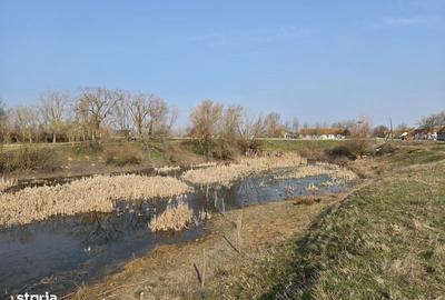 Teren de 30600 mp, în Sacoșu Turcesc - 5