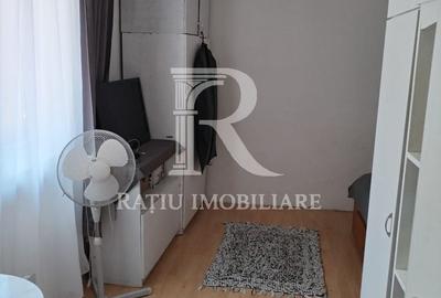 Casă cu 3 camere cu Teren 3000 Mp în Tămășeu - 10