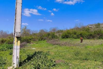 Teren de 800 mp, în Gara Banca - 1