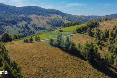 Teren de 1000 mp, în Băișoara