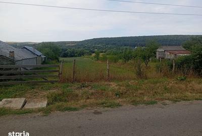 Teren de 800 mp, în Dobrovăț
