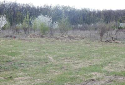 Teren de 1000 mp, în Băneasa