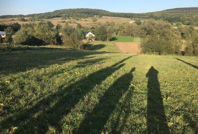 Teren de 2500 mp, în Dărmănești