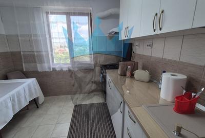 Apartament cu 3 camere semidecomandat, mobilat în Iancului - 5