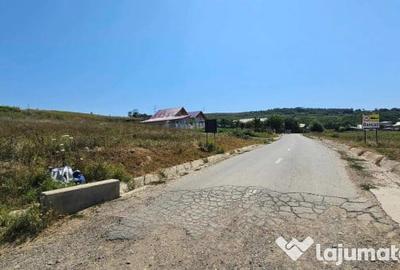 Teren de 2340 mp, în Miroslava