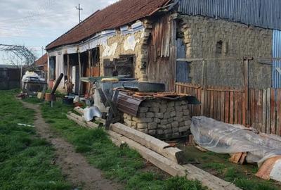 Casă cu 2 camere cu Teren 4200 Mp în Bogei - 3