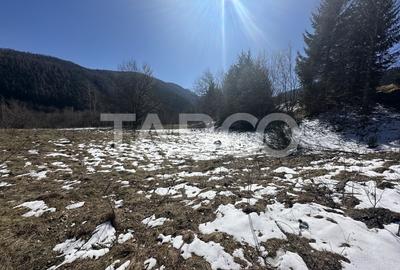 Teren agricol extravilan de 4600 mp, în Dejani - 2
