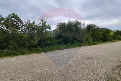 Teren Construcții intravilan de 3700 mp, în Gulia - 5
