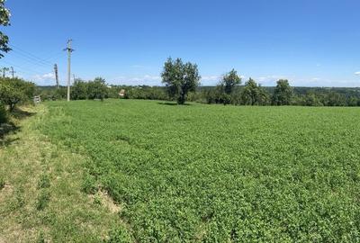 Teren de 16600 mp, în Răchițele de Jos