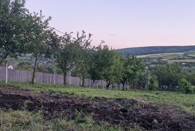 Teren de 740 mp, în Tomești - 7