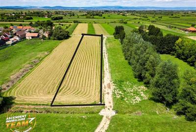 Teren Construcții intravilan de 2900 mp, în Lunca Mărcușului - 2