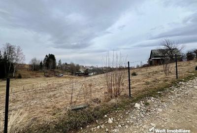 Teren agricol intravilan de 3300 mp, în Râșca - 3