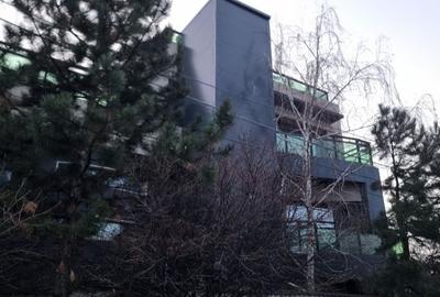 Spațiu comercial, de 350 mp, în Fundeni - 1