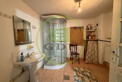Casă individuală cu 5 camere cu Canalizare în Bariera Vâlcii - 8