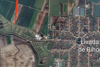Teren de 11500 mp, în Livada de Bihor - 3