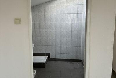 Spațiu comercial, de 50 mp, în Calea Călărașilor - 2