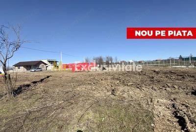Teren de 533 mp, în Albota
