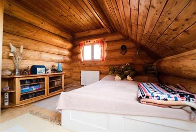 Casă individuală cu 4 camere cu Teren 52800 Mp în Țengheler - 14