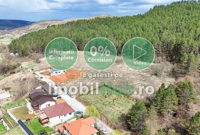 Teren Construcții intravilan de 10130 mp, în Vlaha - 4