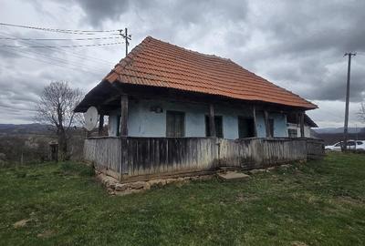 Casă cu Teren 1000 Mp în Stoieneasa - 2