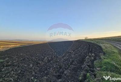 Teren de 30077 mp, în Stroiești - 9