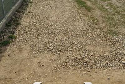 Teren agricol extravilan de 557 mp, în Clinceni - 3